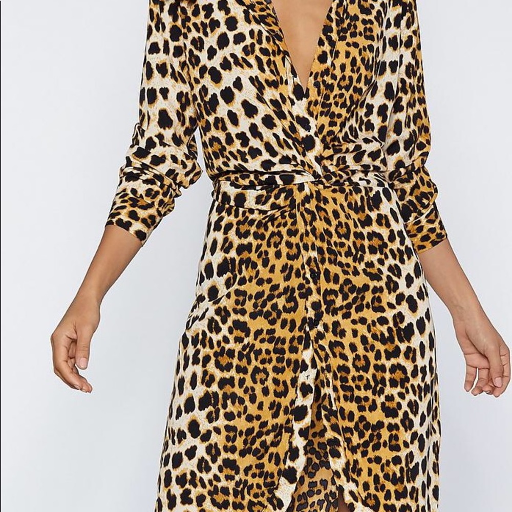 Leopard Print Dress